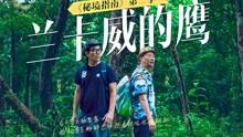 逃出蜜蜂岛